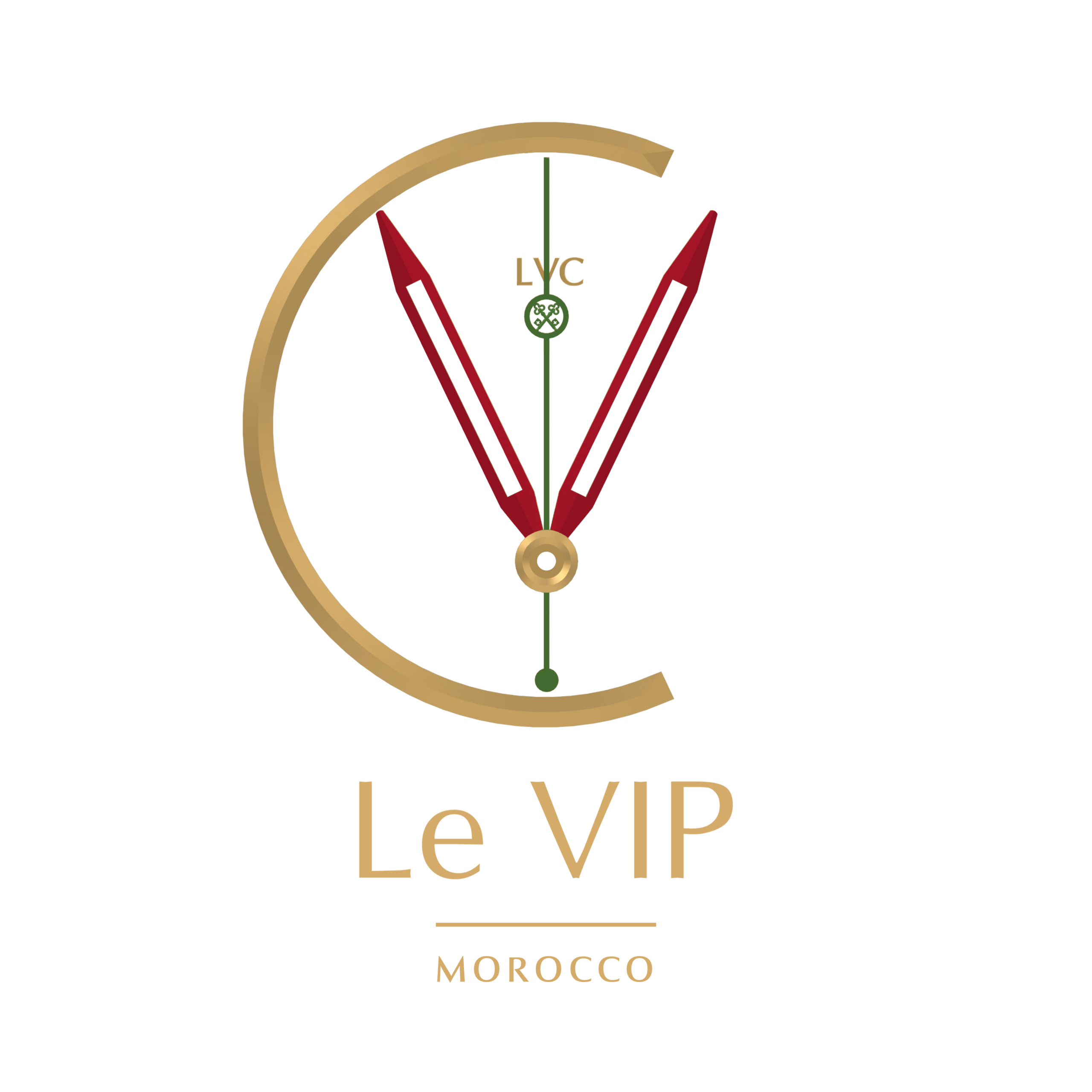 LEVIP Logo